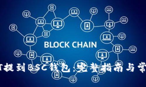 如何将USDT提到BSC钱包：完整指南与常见问题解答