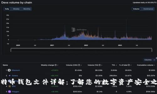 比特币钱包文件详解：了解您的数字资产安全之钥