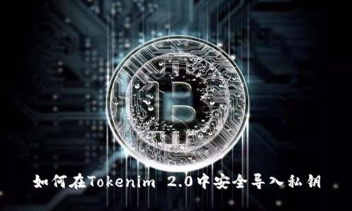 如何在Tokenim 2.0中安全导入私钥