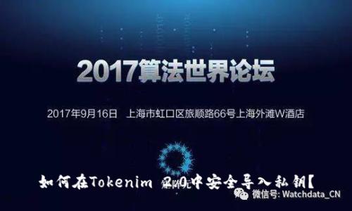 如何在Tokenim 2.0中安全导入私钥？