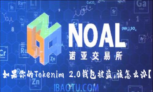 如果你的Tokenim 2.0钱包被盗，该怎么办？