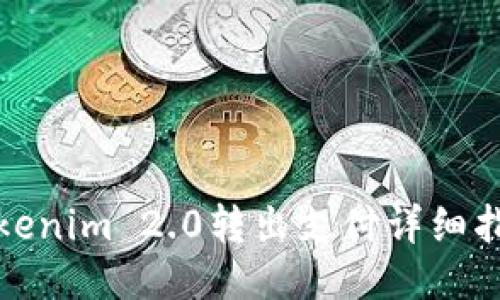 Tokenim 2.0转出支付详细指南