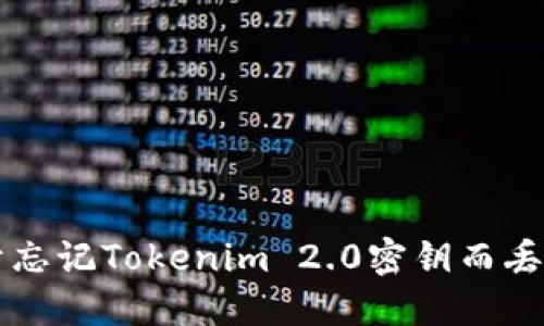 如何找回由于忘记Tokenim 2.0密钥而丢失的数字货币