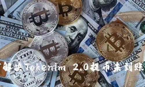 如何解决Tokenim 2.0提币未到账问题