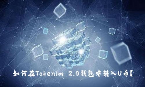 如何在Tokenim 2.0钱包中转入U币？