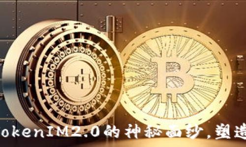  
揭开ddw天天链TokenIM2.0的神秘面纱，塑造数字资产新未来