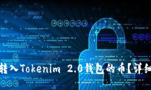 : 如何顺利转入Tokenim 2.0钱包的币？详细步骤与技巧
