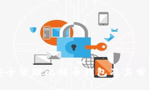 如何安全管理比特币钱包及其分叉问题