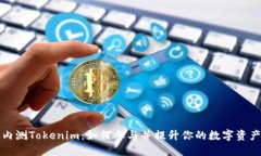 国内苹果内测Tokenim：如何参与并提升你的数字资
