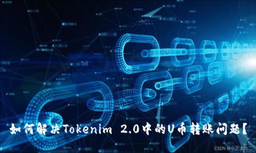 如何解决Tokenim 2.0中的U币转账问题？